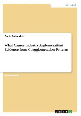 [d753c] !Read@ What Causes Industry Agglomeration? Evidence from Coagglomeration Patterns - Dario Caliandro #PDF%